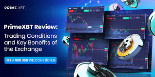 Your Guide to PrimeXBT Spot Trading Strategies, Benefits, and Tips Your Guide to PrimeXBT Spot Trading Strategies, Benefits, and Tips