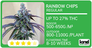 Exploring Fat Bastard Weed Characteristics, Benefits, and Cultivation