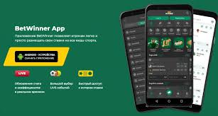 Download the BetWinner APK Your Gateway to Thrilling Betting